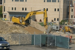 Ann-Article-Destined-P1000263