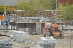 Ann-Article-Destined-P1000305