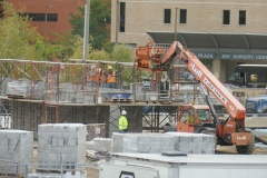 Ann-Article-Destined-P1000342