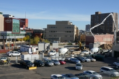 Ann-Article-Destined-P1000352-CROP-for-Cover_