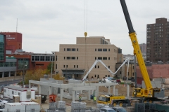 Ann-Article-Destined-P1000364-1