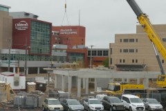 Ann-Article-Destined-P1000367