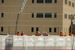 Ann-Article-Destined-P1000437