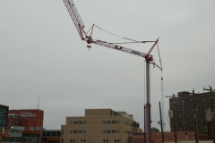 Ann-Article-Destined-P1000444