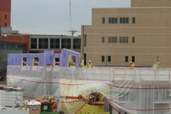 Ann-Article-Destined-P1000449-NOV-20