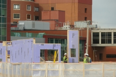 Ann-Article-Destined-P1000456