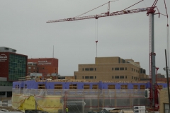 Ann-Article-Destined-P1000466