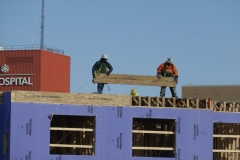 Ann-Article-Destined-P1000473-VERY-cold-below-zero