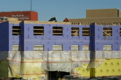 Ann-Article-Destined-P1000478-VERY-cold-below-zero