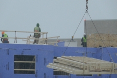 Ann-Article-Destined-P1000489-Snow-and-cold