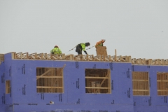 Ann-Article-Destined-P1000557-Snow-and-cold