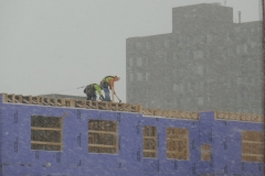 Ann-Article-Destined-P1000577-Snow-and-cold