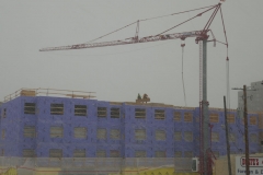 Ann-Article-Destined-P1000581-Snow-and-cold